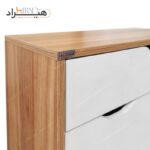 جاکفشی هیراد مدل H109