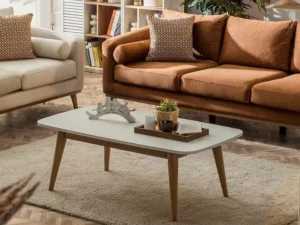 میز جلو مبلی با چی ست میشه