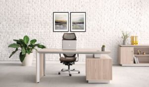 خرید میز ارگونومیک