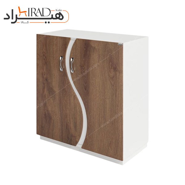 جاکفشی کوچک