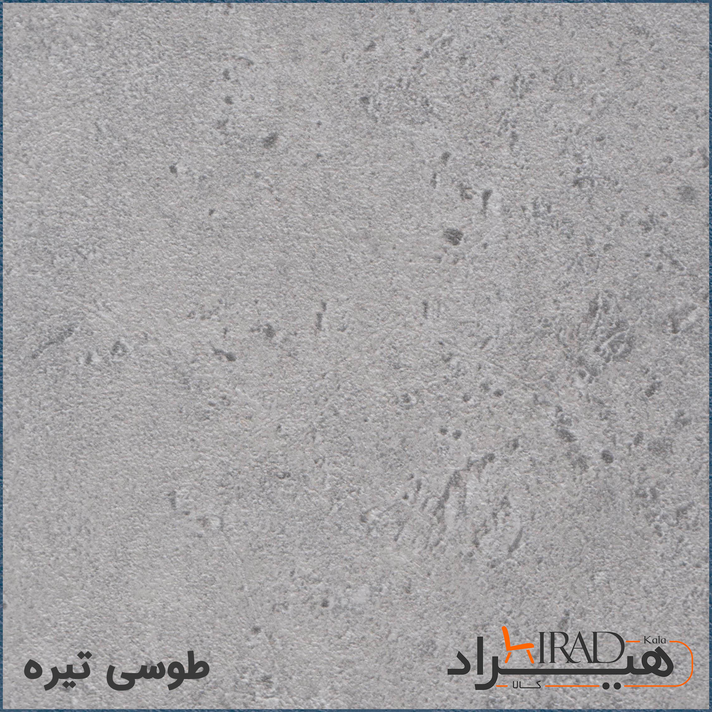 طوسی تیره