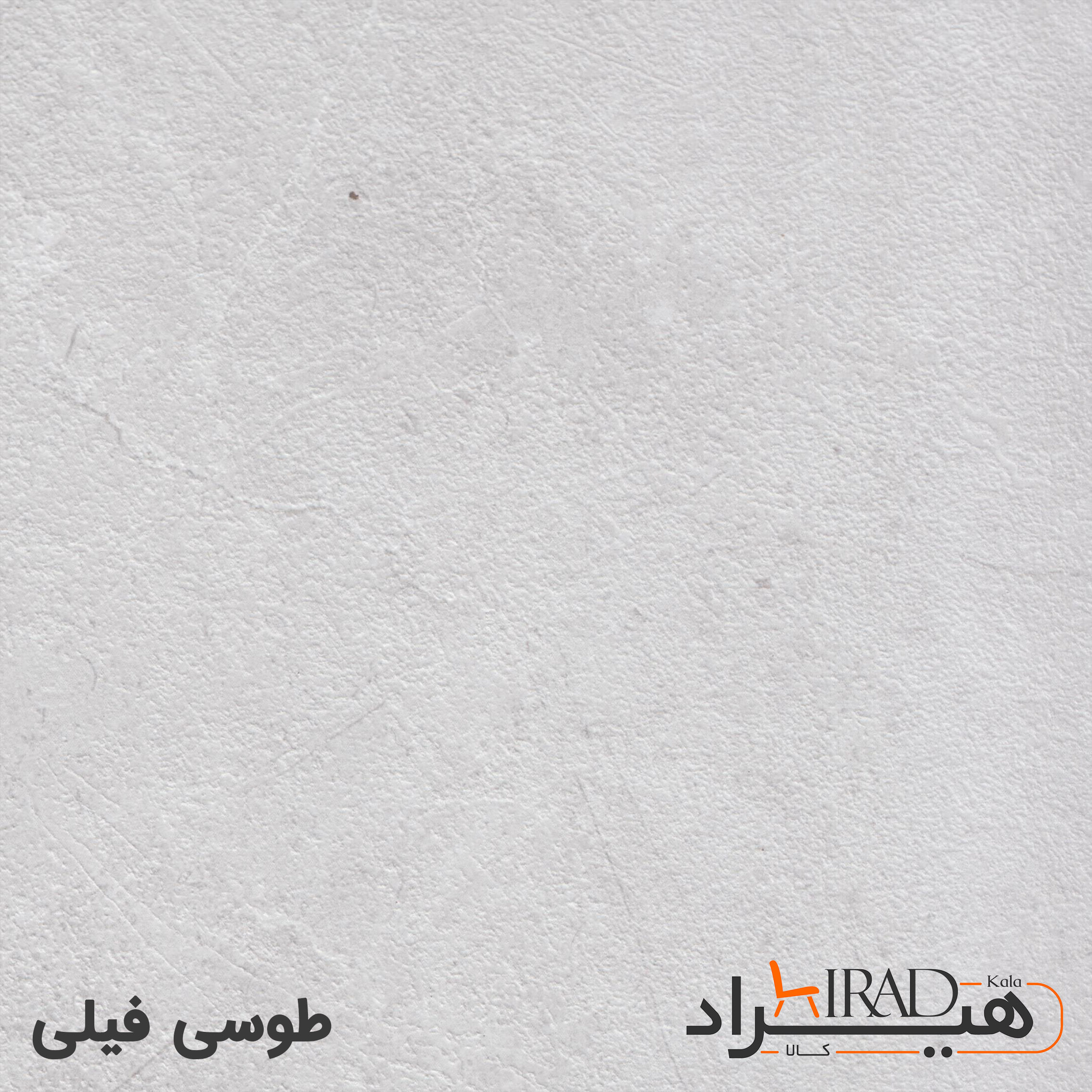 طوسی فیلی