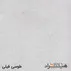 طوسی فیلی