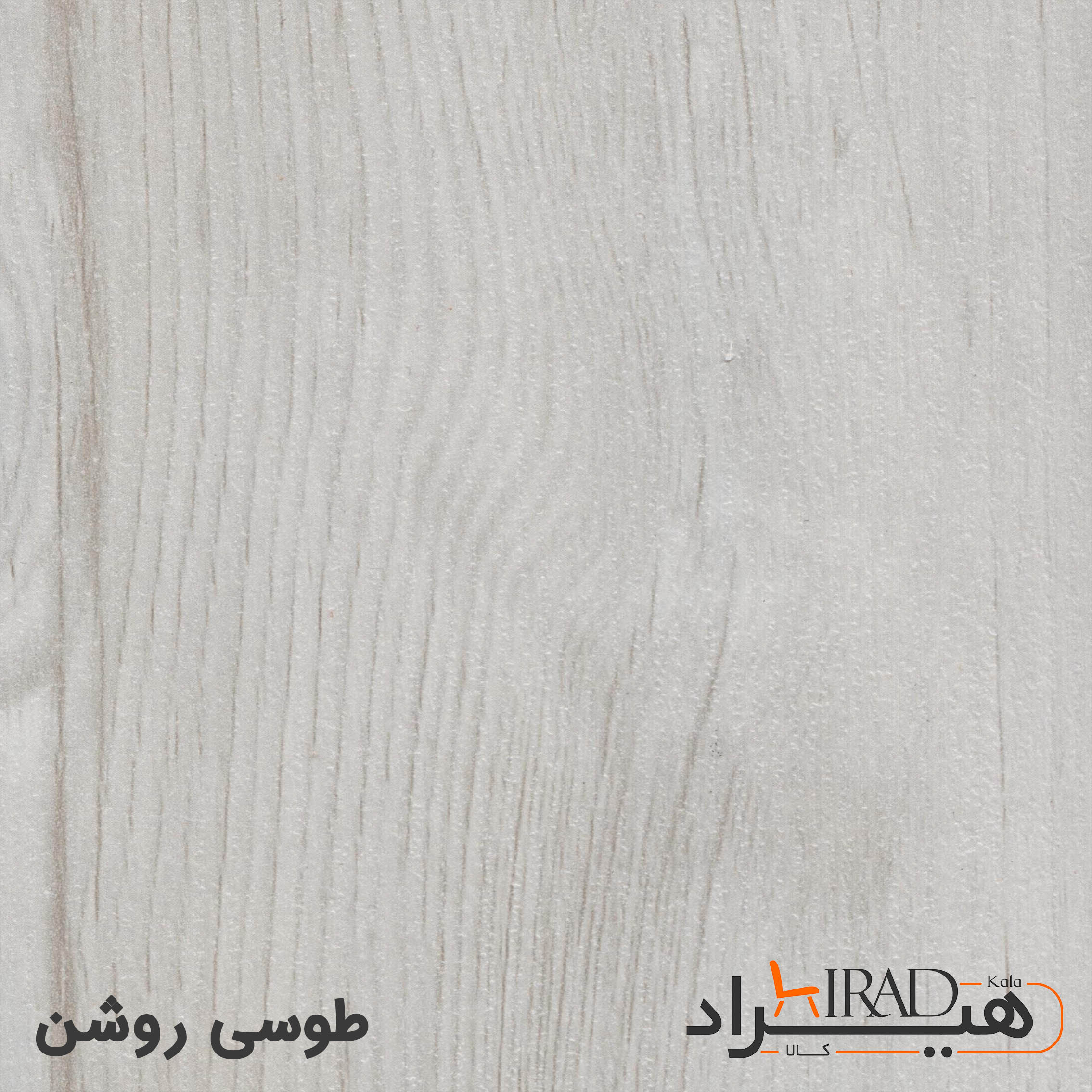 طوسی روشن