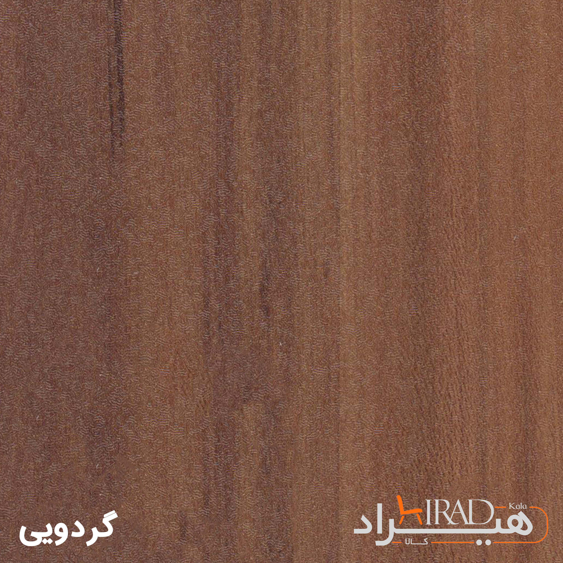 گردویی