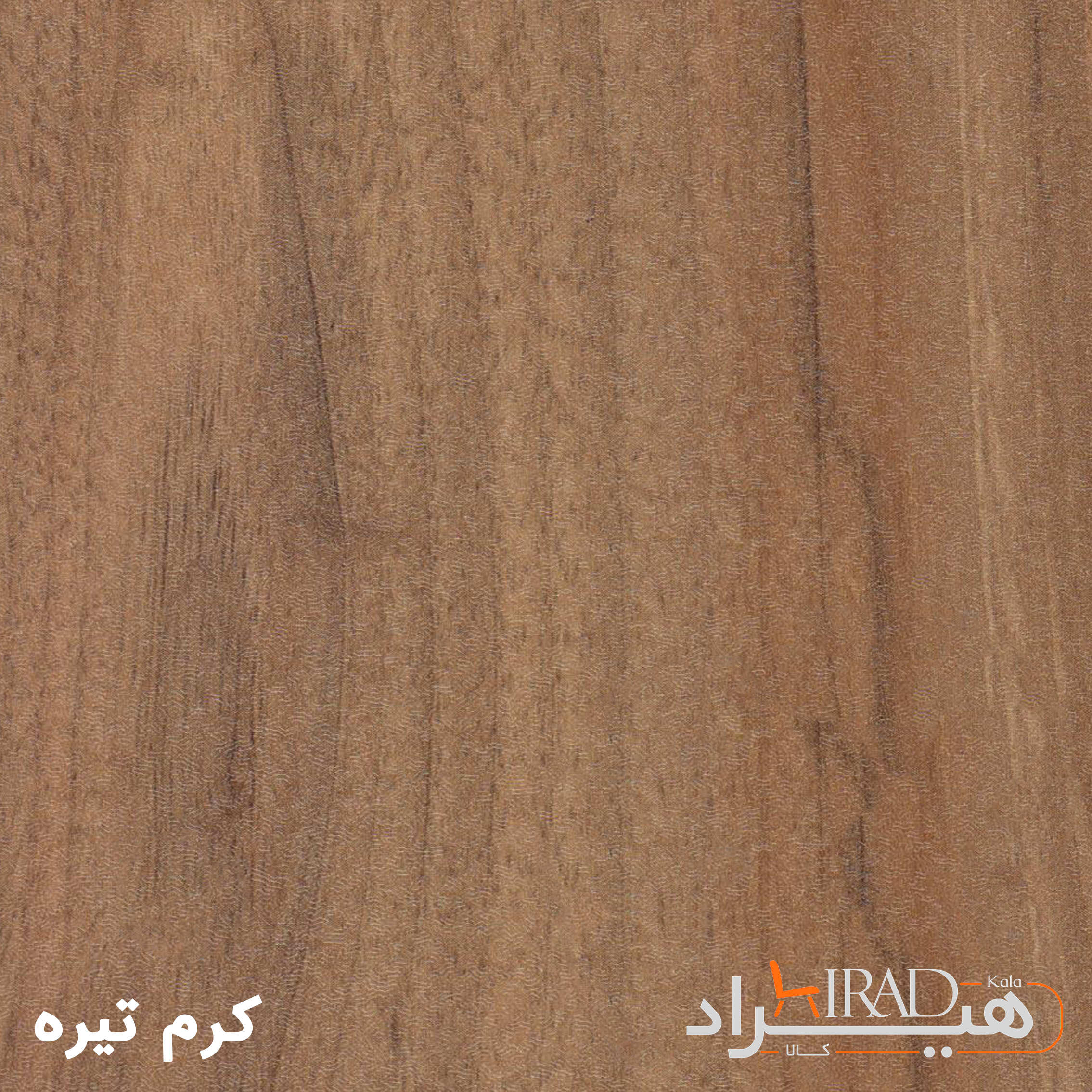 کرم تیره